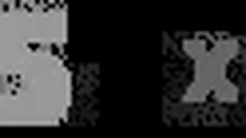 中国女足广州亮相首款徽宝，前国脚期待“铿锵玫瑰”世界杯绽放光彩